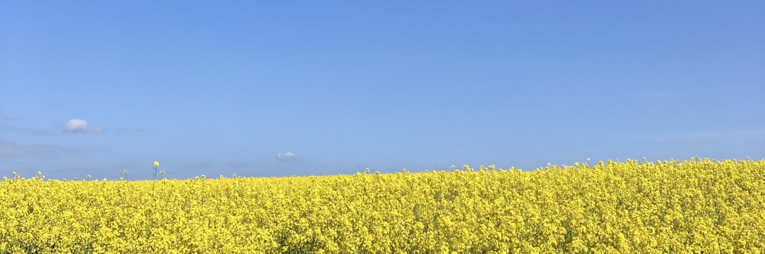 lapp frazze banner