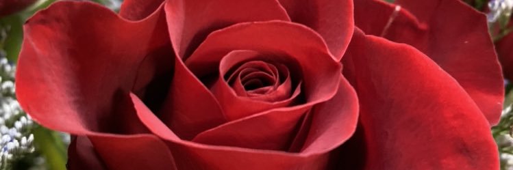 EdyeThomas's profile banner image