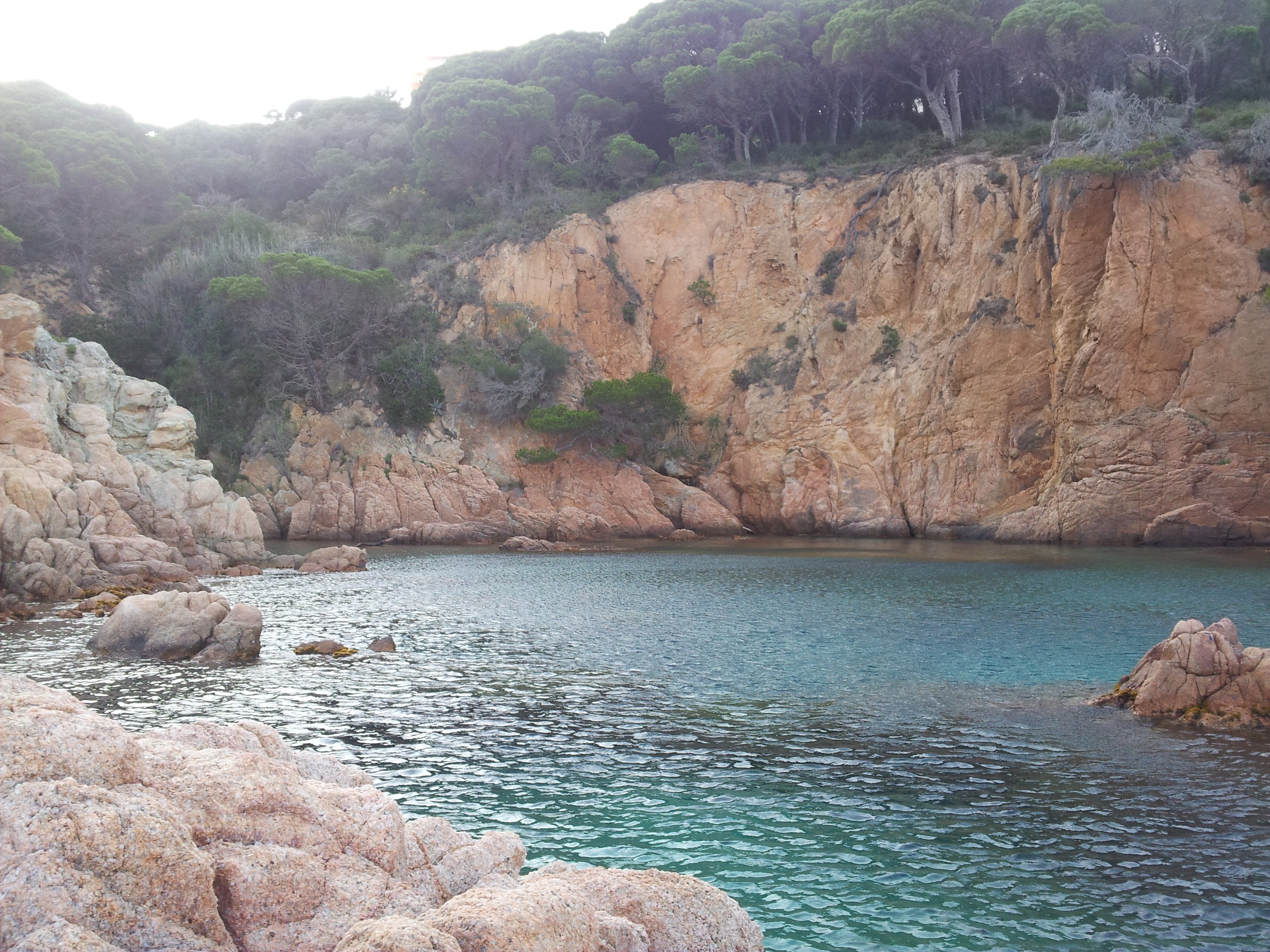 roso_feliu's profile banner image