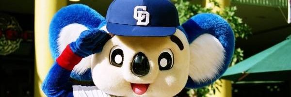 cheeetaaah's profile banner image