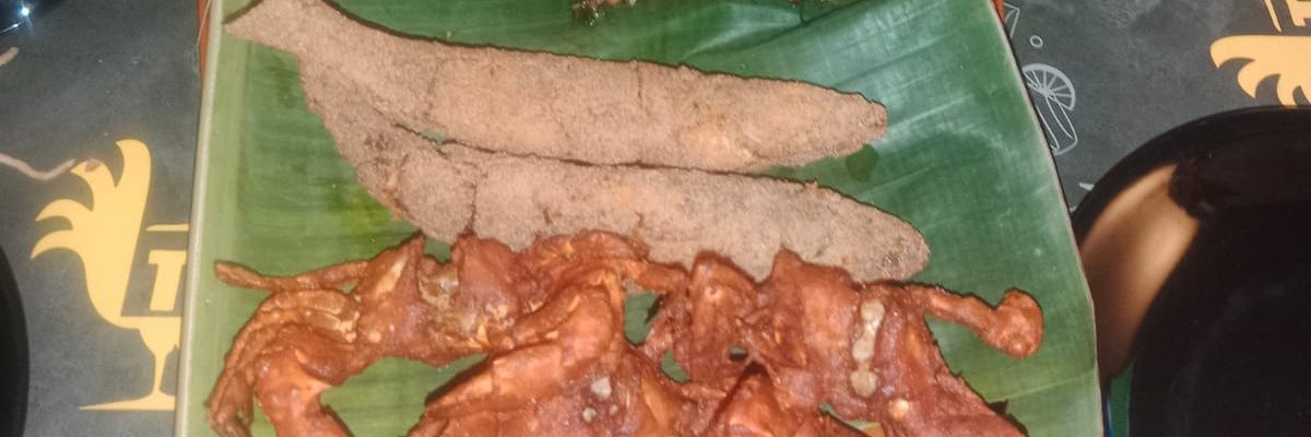 pai_dr's profile banner image