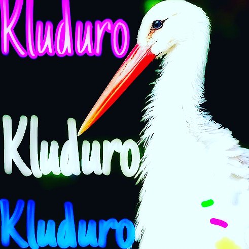 Kluduro's profile banner image