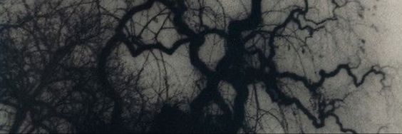 elixirqnf's profile banner image