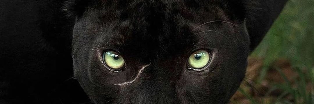xtra2109's profile banner image