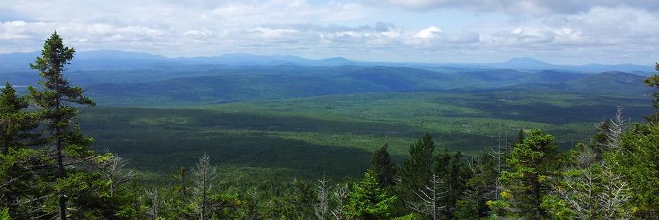 James Mieding banner