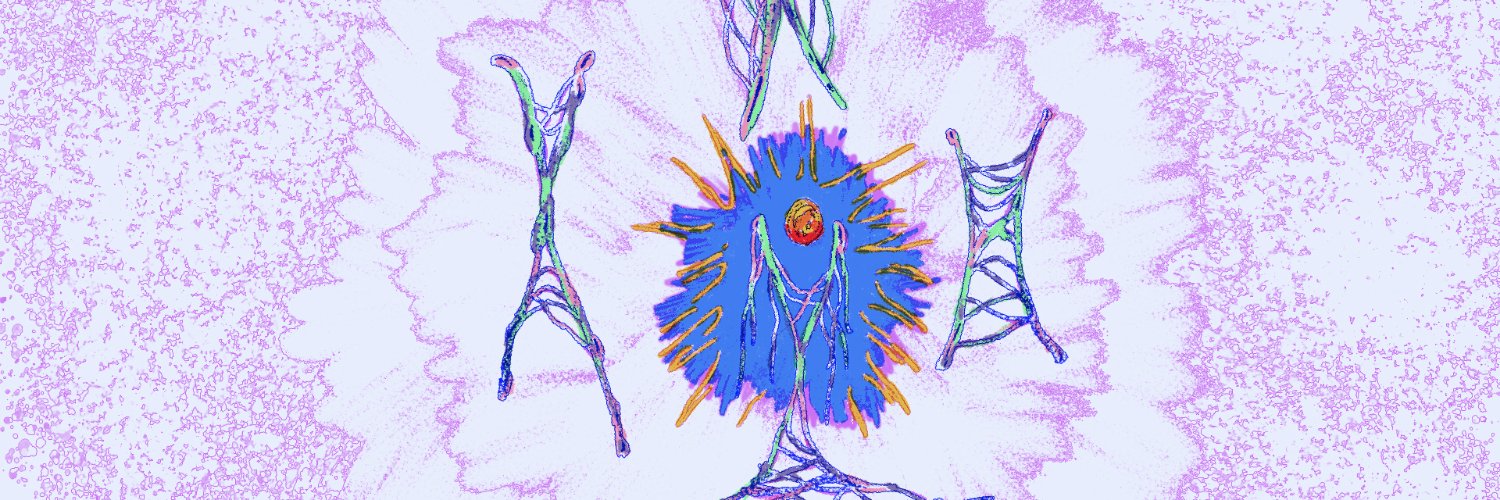 frameweaver's banner