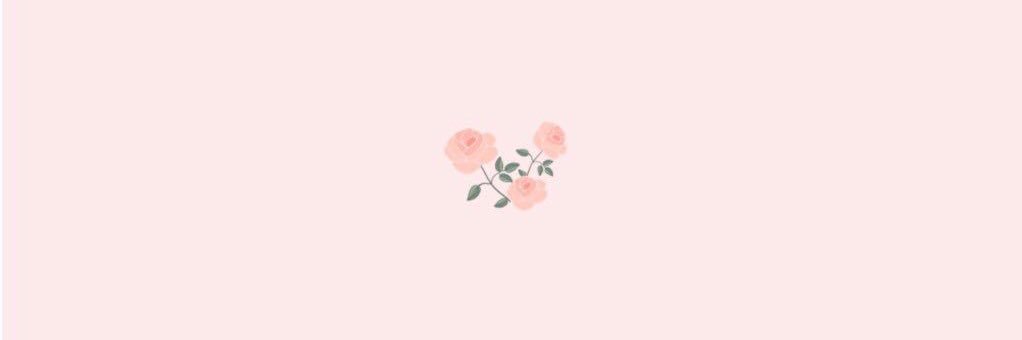 ariane banner