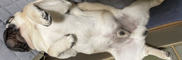 REPken2525 Profile Banner