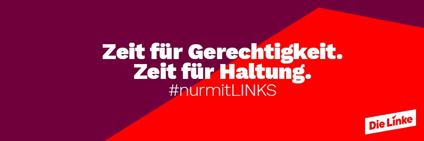 DIE LINKE. Steglitz-Zehlendorf banner
