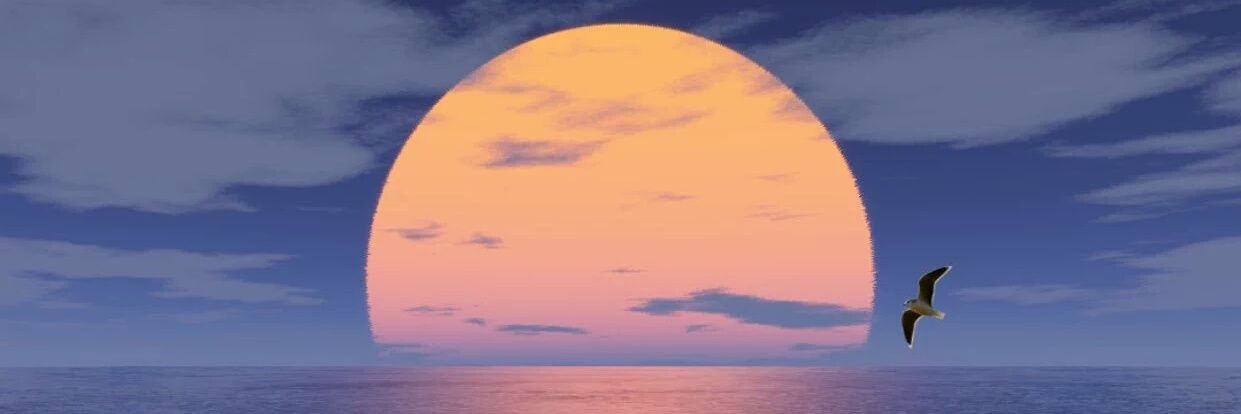 36Khalid06's profile banner image