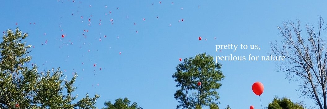 Balloon Pollution banner