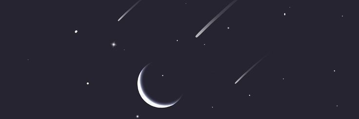 N49040794's profile banner image