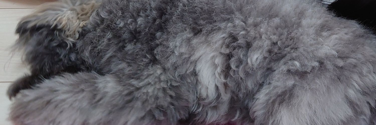 ma329v's profile banner image