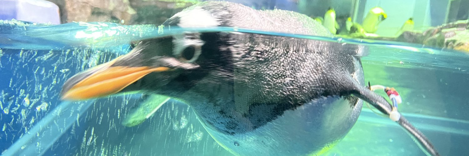 マスちょん banner