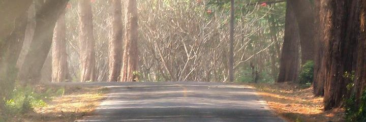 Lekgalaka Le Legolo banner