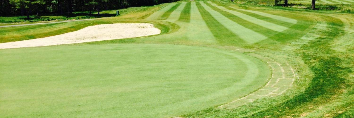 Elton Chea      E.J. banner