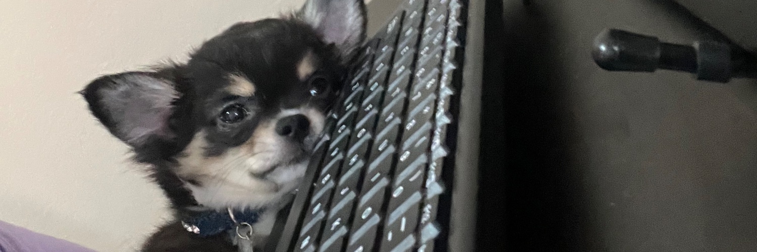 __liadias's profile banner image