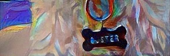B Suárez banner