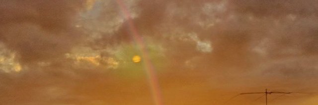 Judit banner