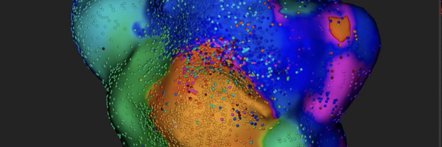 furuya-TAMPS君 banner