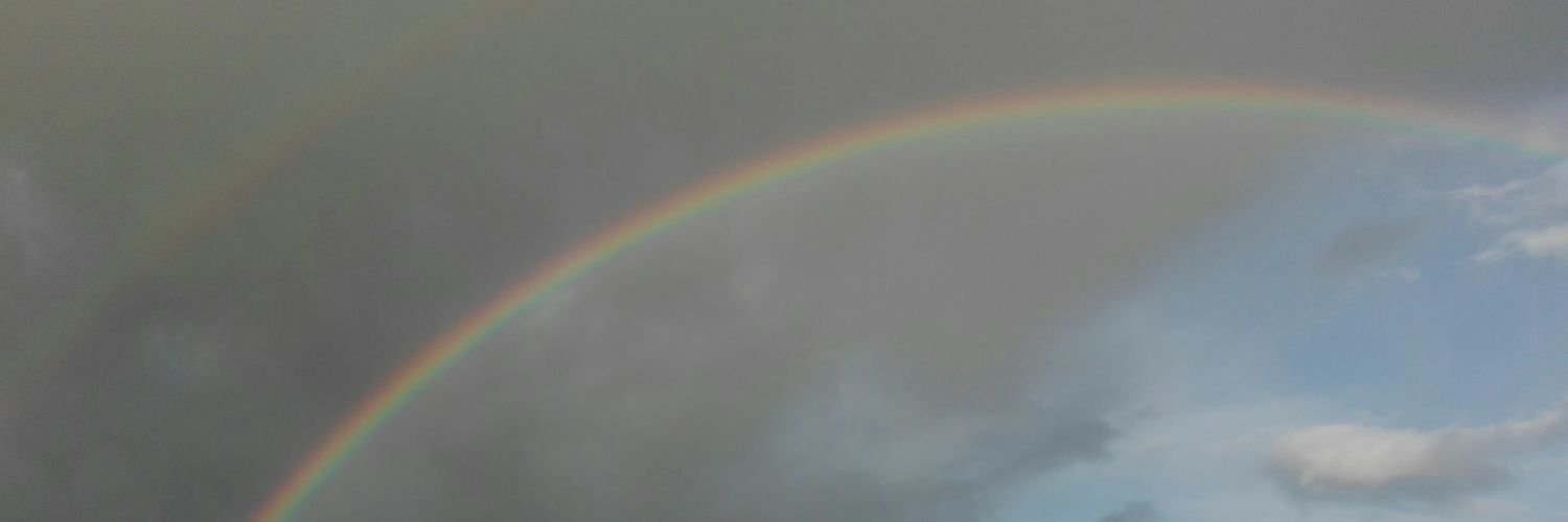 FSottomano's profile banner image