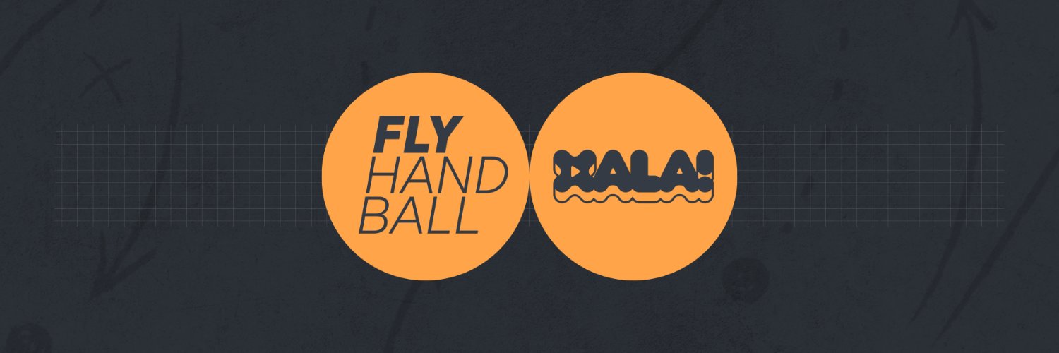 FlyHandball banner