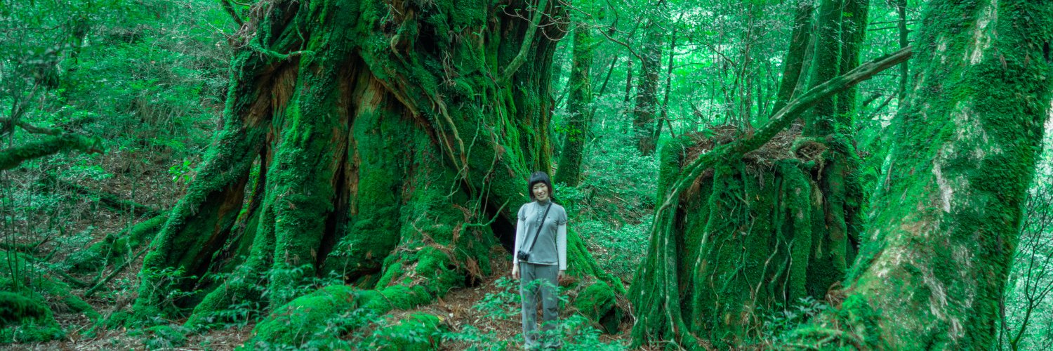 yukotakada_work's profile banner image