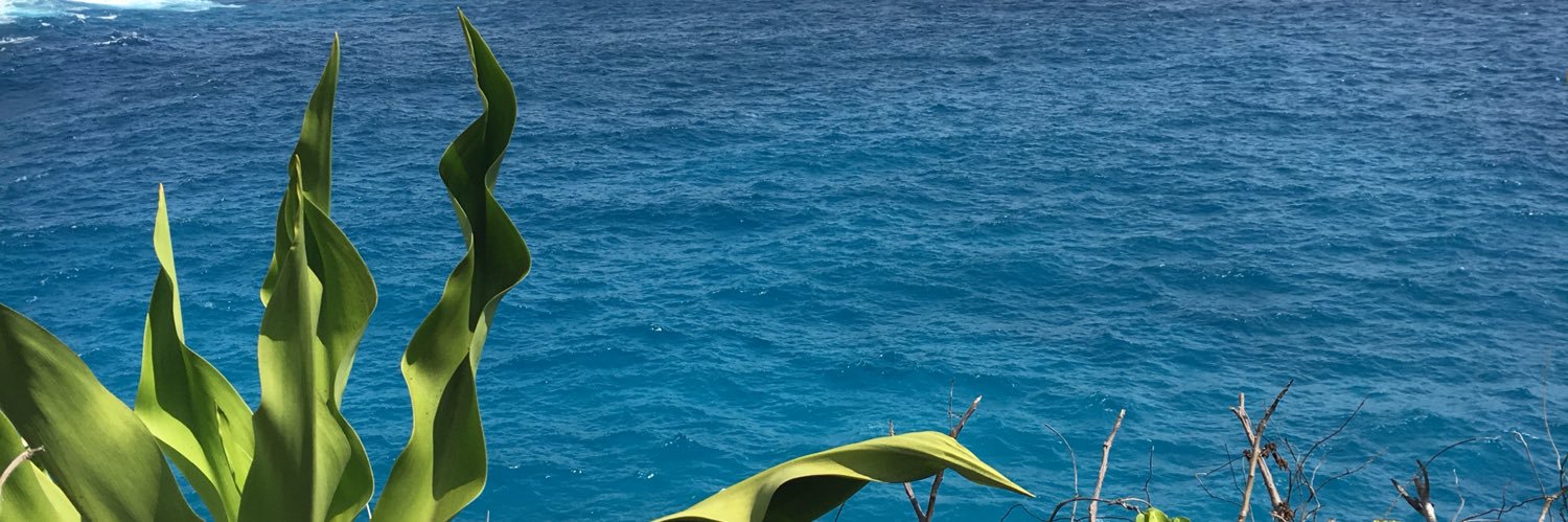 _miki91's profile banner image