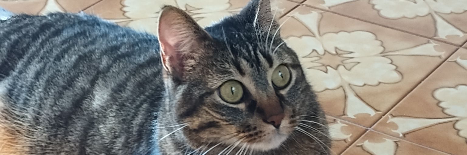 bricy375's profile banner image