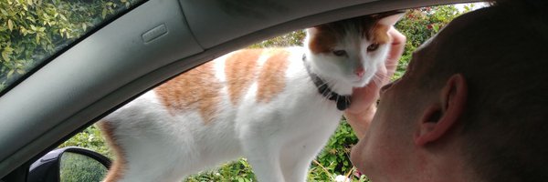 LostitNft Profile Banner
