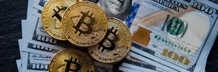 Follow Back New Crypto banner