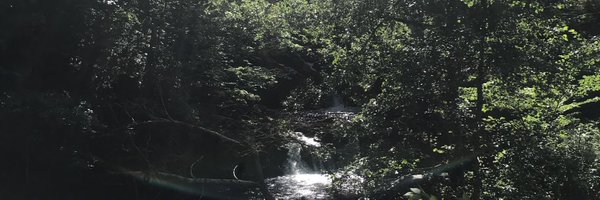 jibecsgo Profile Banner