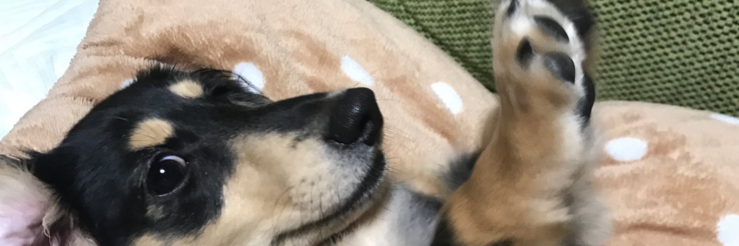 taro_second's profile banner image