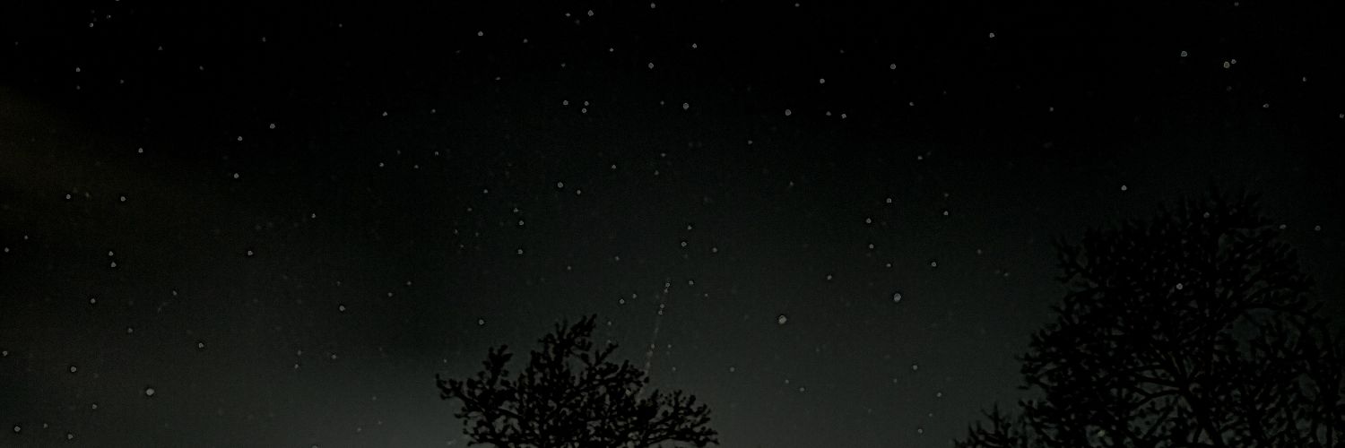 🍀 Rich Asir🍀 banner