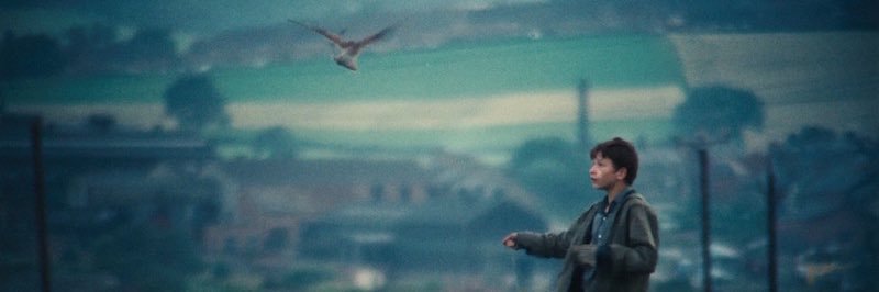 Farzan 🦎 banner
