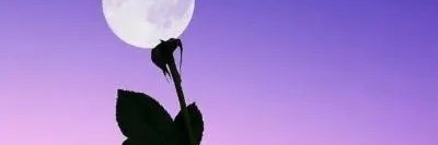 Stephan80984716's profile banner image