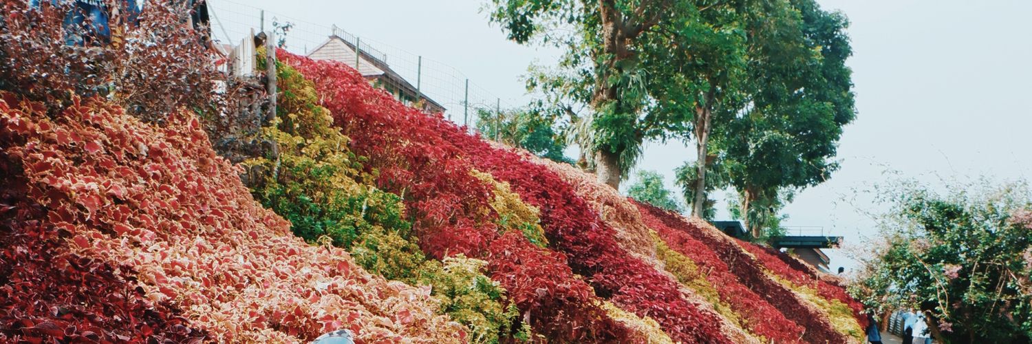 angelpuput's profile banner image