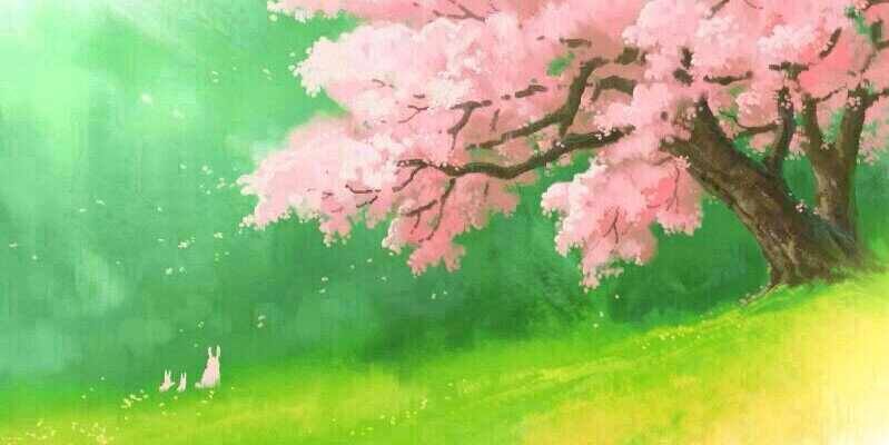 Acureishi's profile banner image