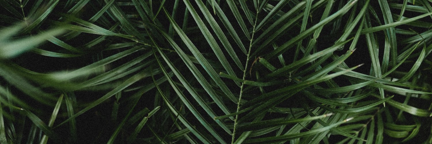 manlurr's profile banner image
