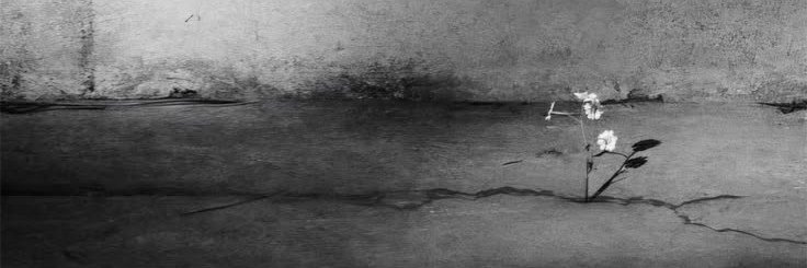 Ivedreamtof's profile banner image