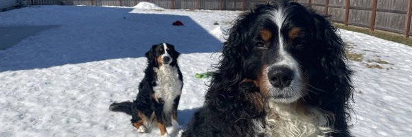 AndrewGardeck Profile Banner