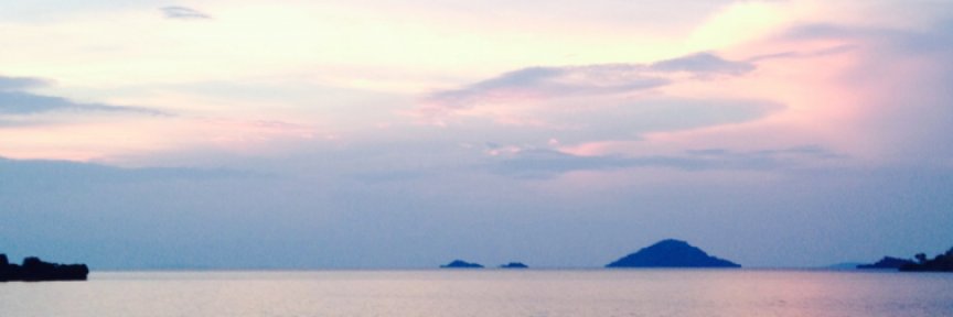 UCLA TRUST Lab banner