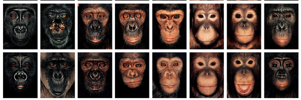 MartinSall2 Profile Banner