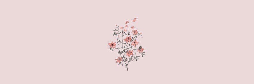raneem1357's profile banner image