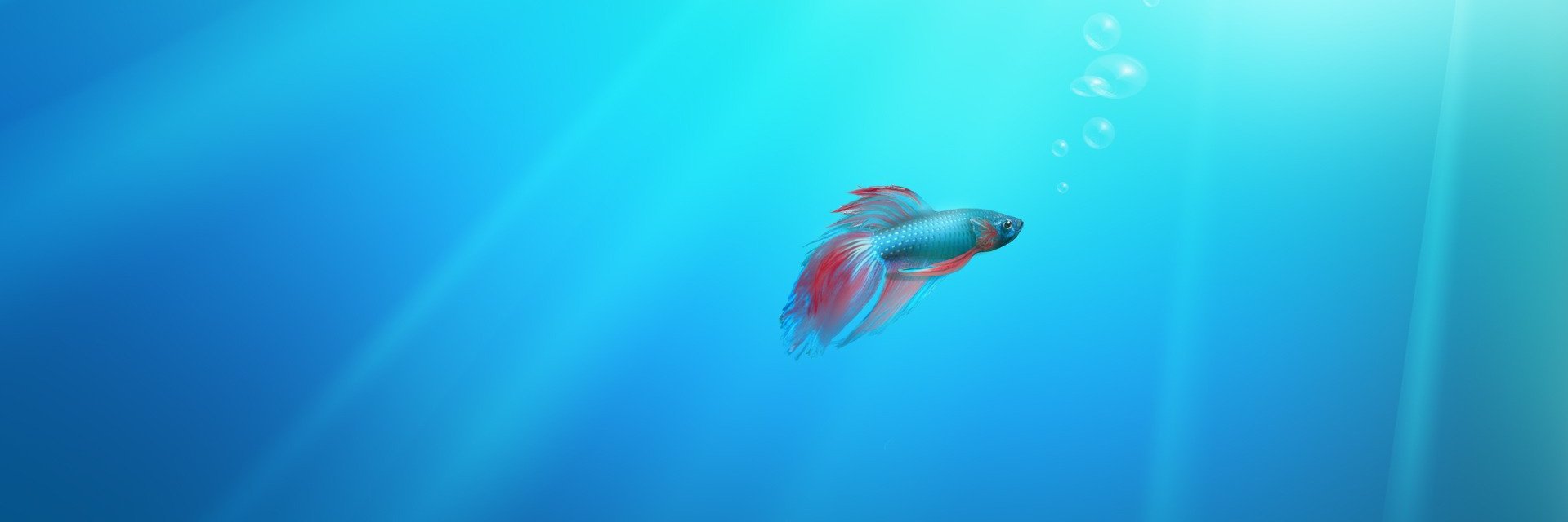 agridamdam's profile banner image