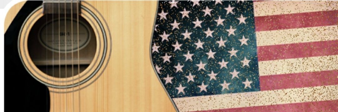 Carolina Cowboy banner