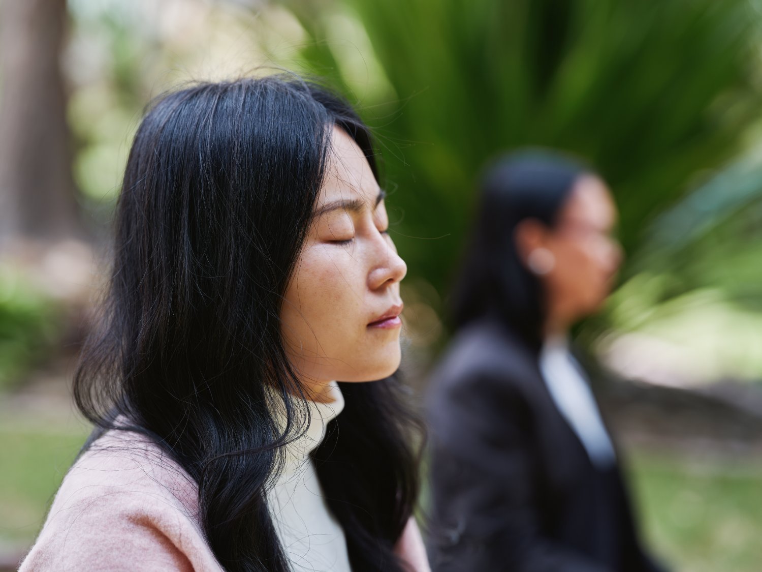 Contemplative Studies Centre banner