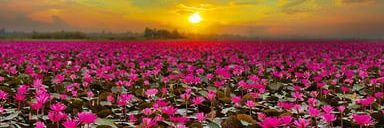 samadhan_chavan's profile banner image