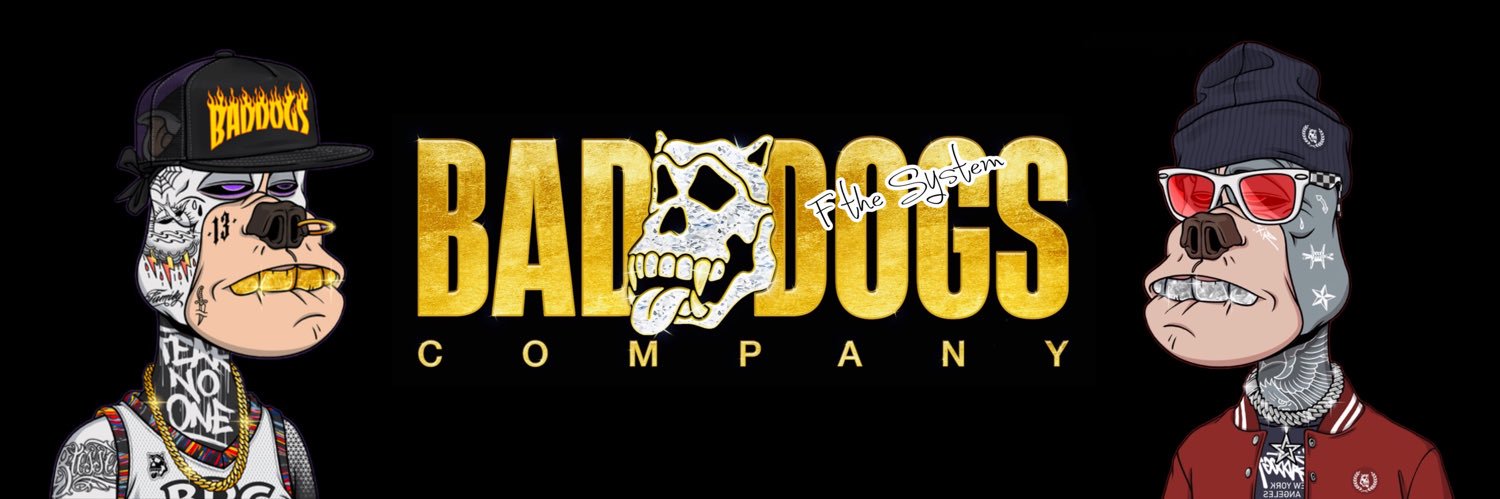 FtheSystem.skr banner