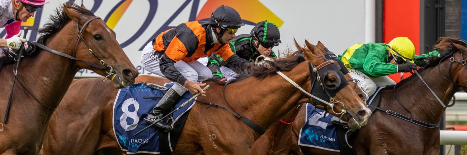 Chris Bieg Racing banner